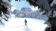Winterwandern beim 5 Sterne Dolomitenurlaub im Hotel Cyprianerhof